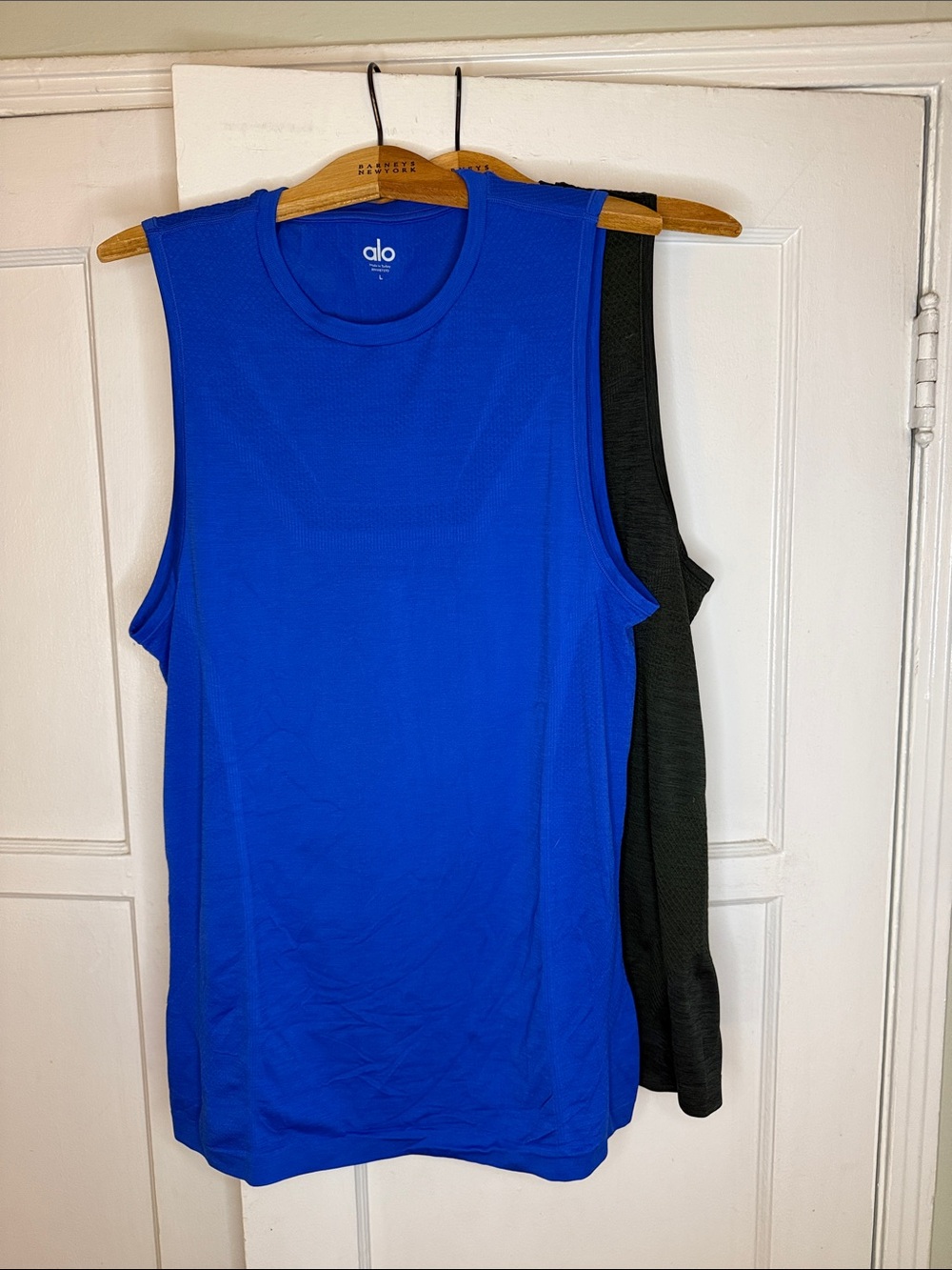 ALO Yoga Men’s Cobalt Blue + GreenTank